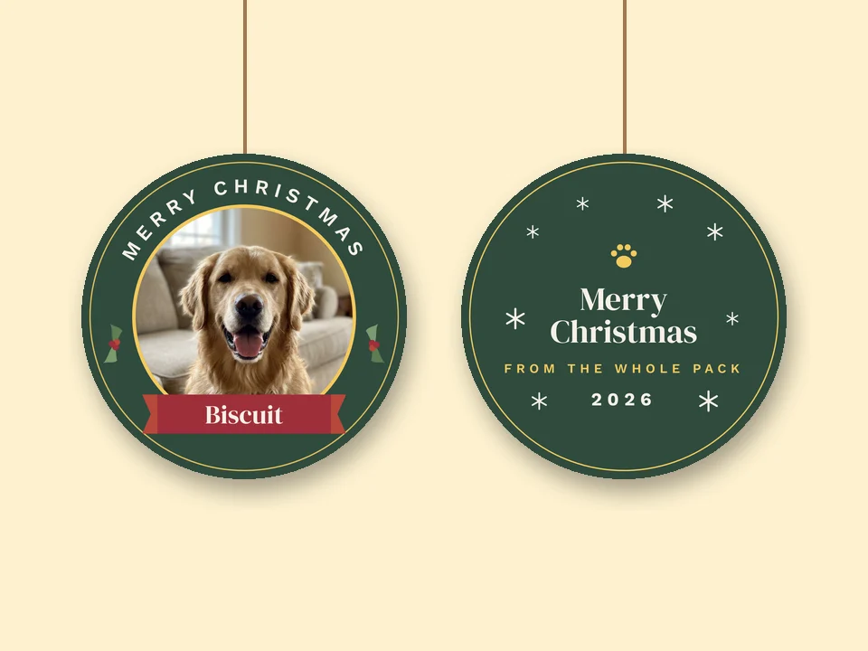 Christmas photo ornament example