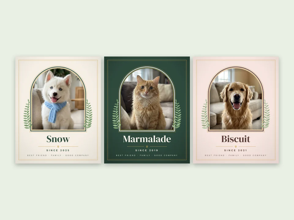 Packmate Portrait example