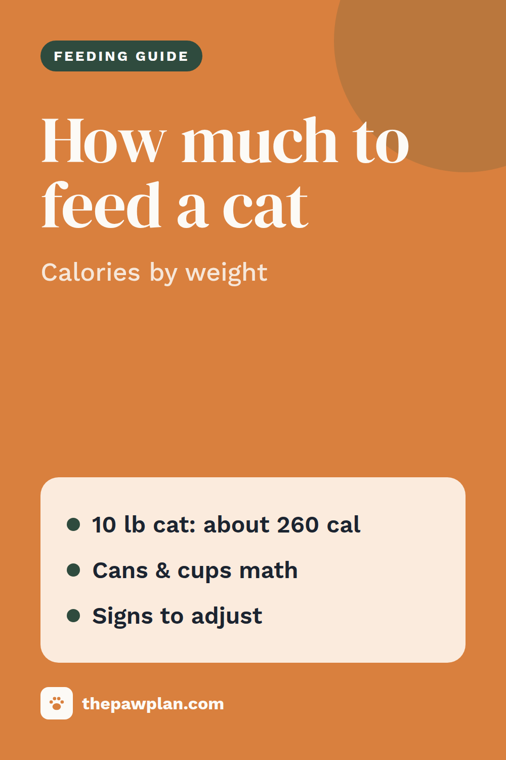 How much should I feed my cat?