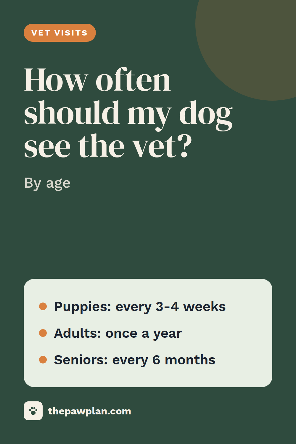 How often should my dog go to the vet?