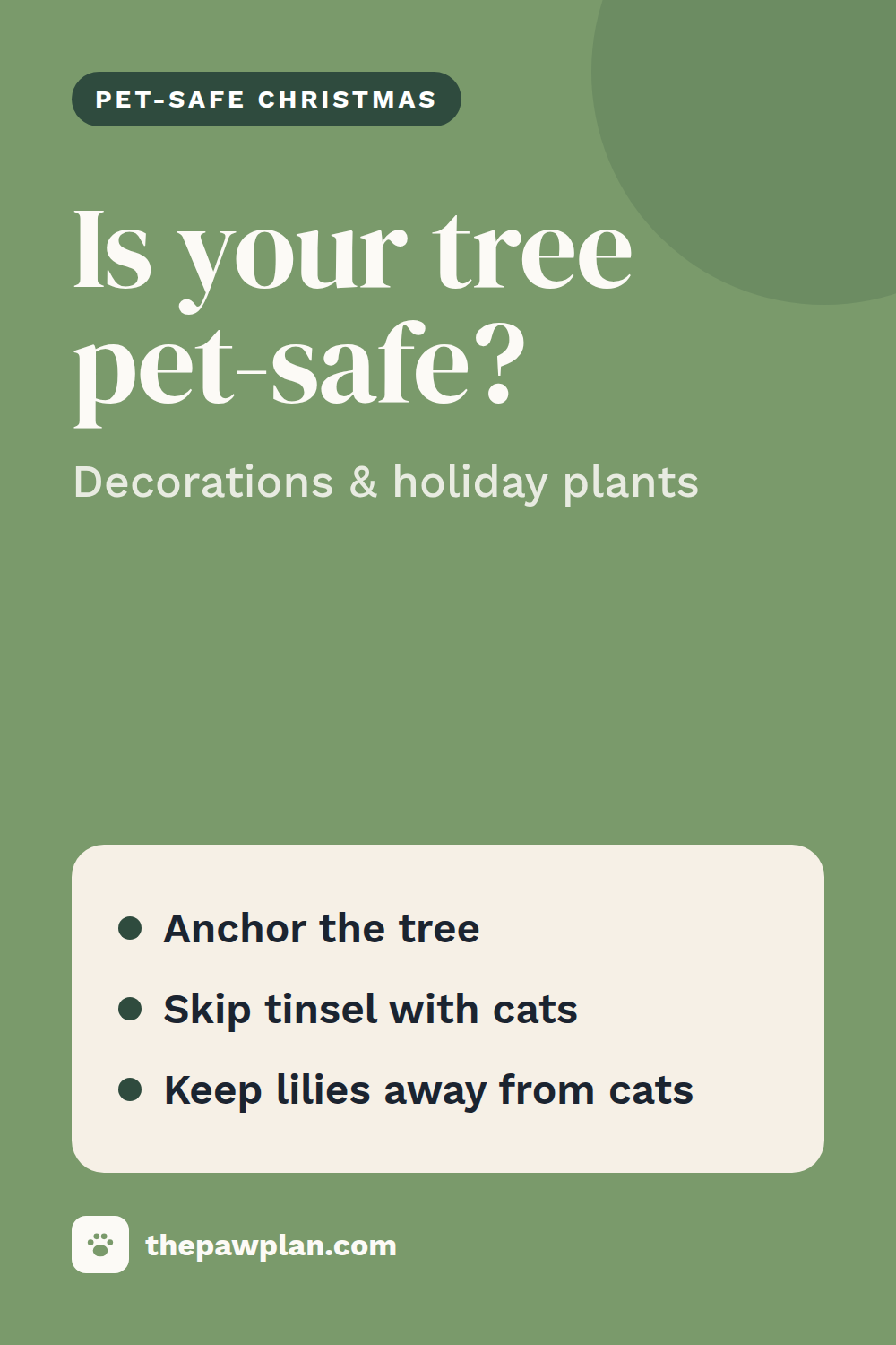 Pet-safe Christmas: trees, decorations and holiday plants